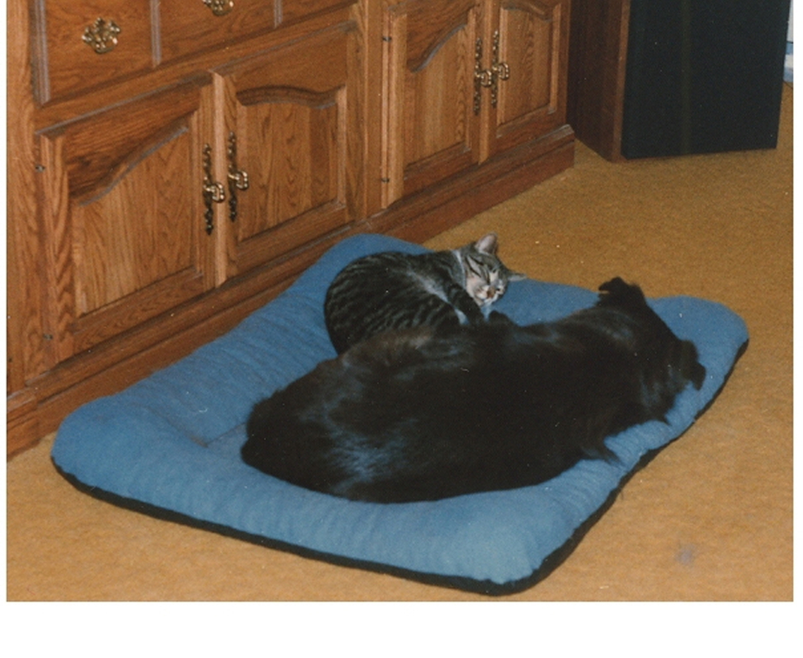 Photograph 110